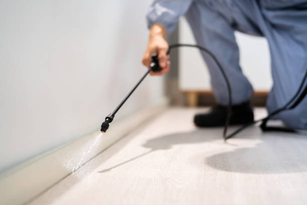 Licensed Mosquito Control service in Woodworth, LA - Show Me Pest Control