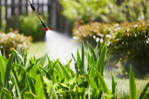 24/7 Emergency Mosquito Control experts in Woodworth, LA