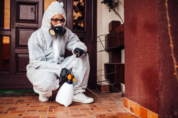 Reliable Mosquito Control contractor in Woodworth, LA by Show Me Pest Control